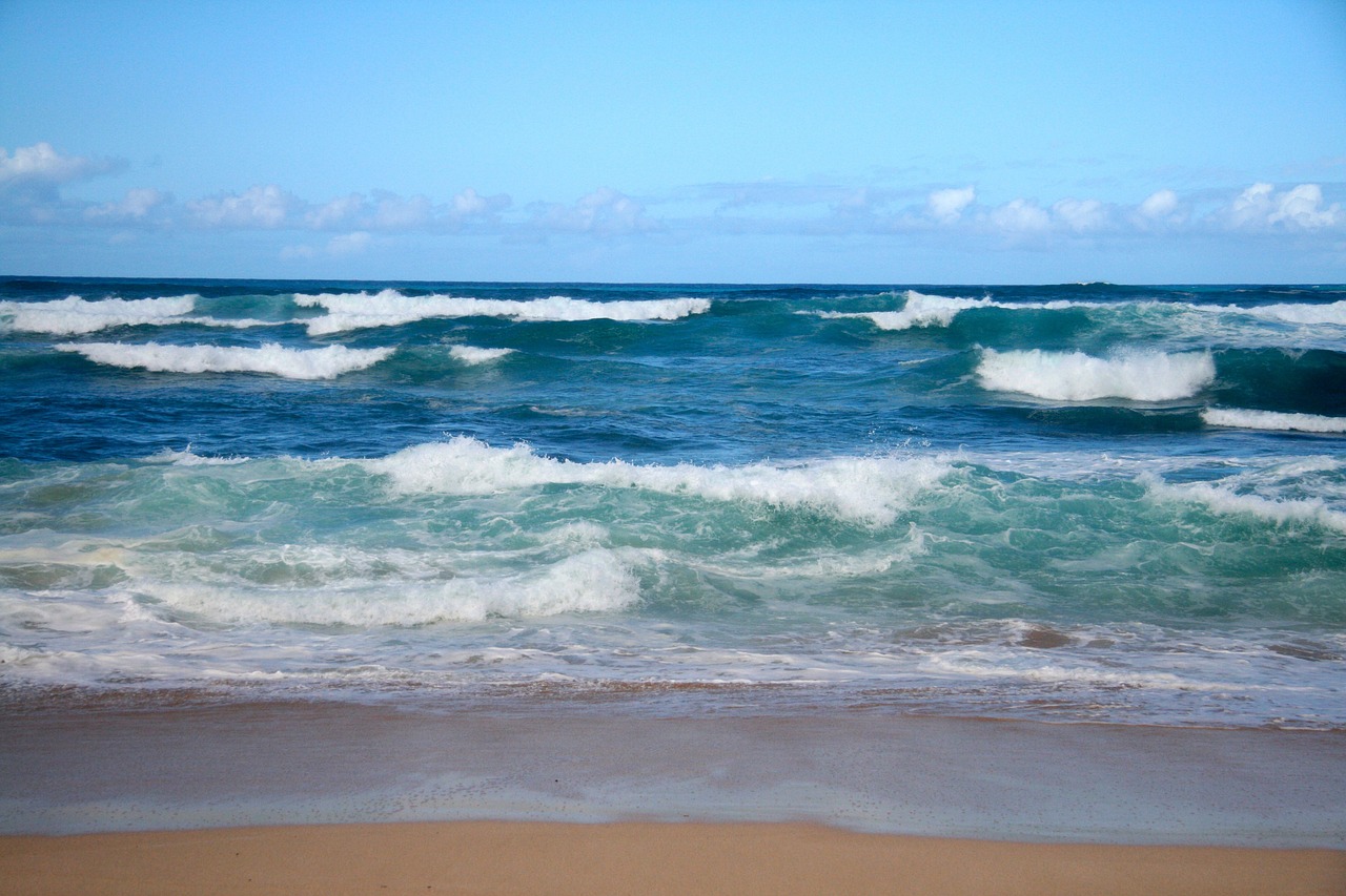 waves ocean seascape free photo