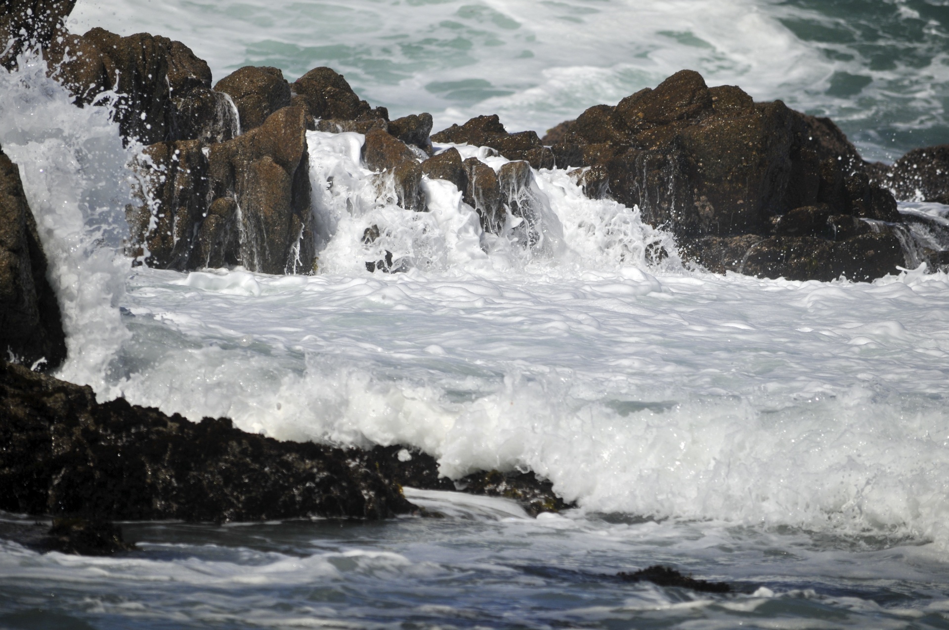 beach sea ocean free photo