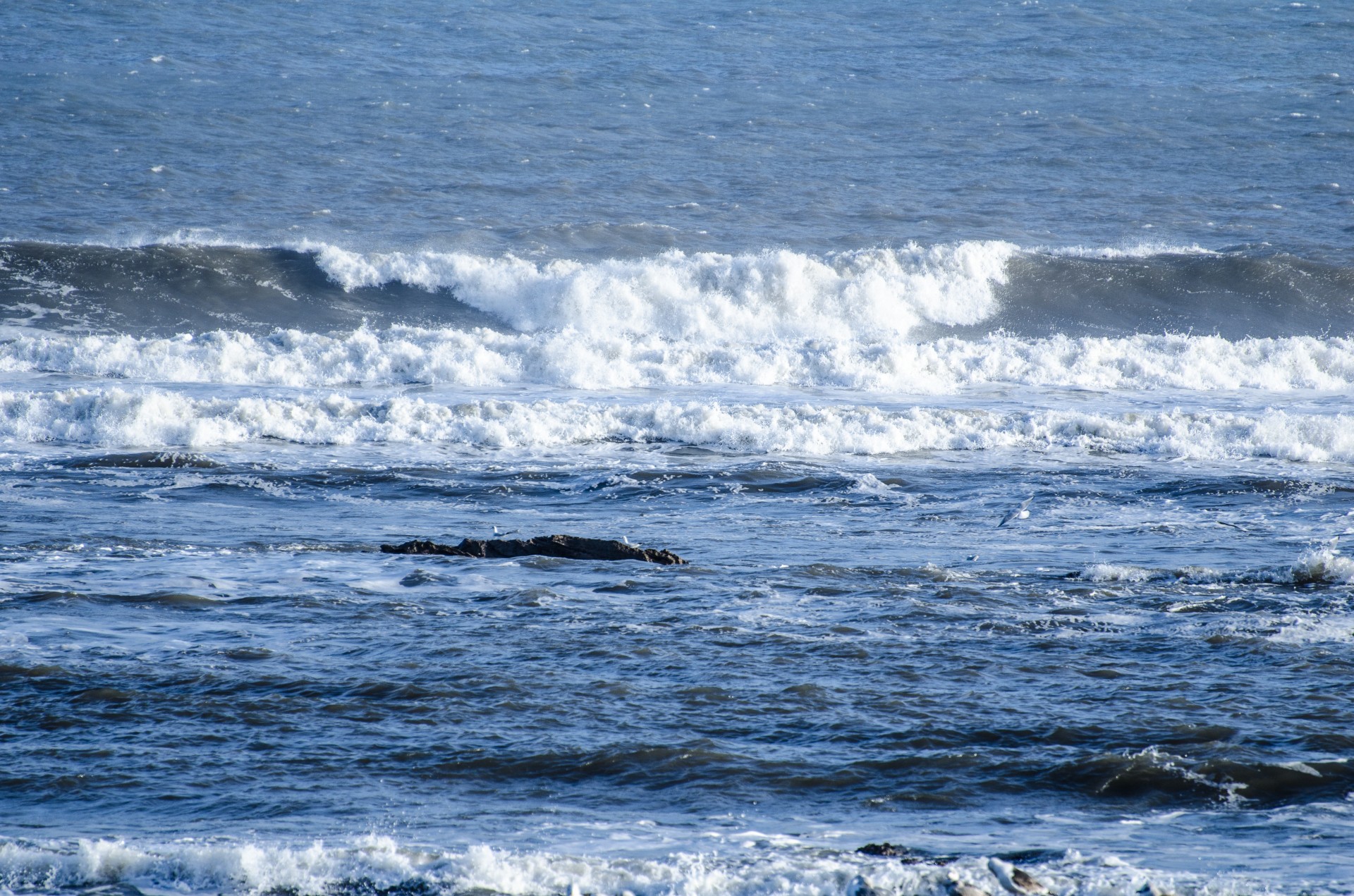 waves sky surf free photo
