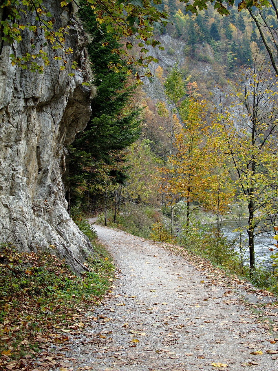 way autumn landscape free photo