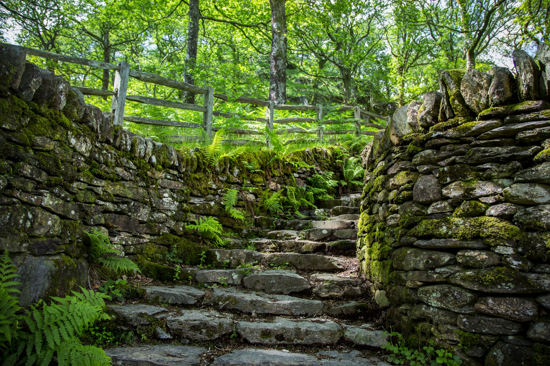 green way path free photo