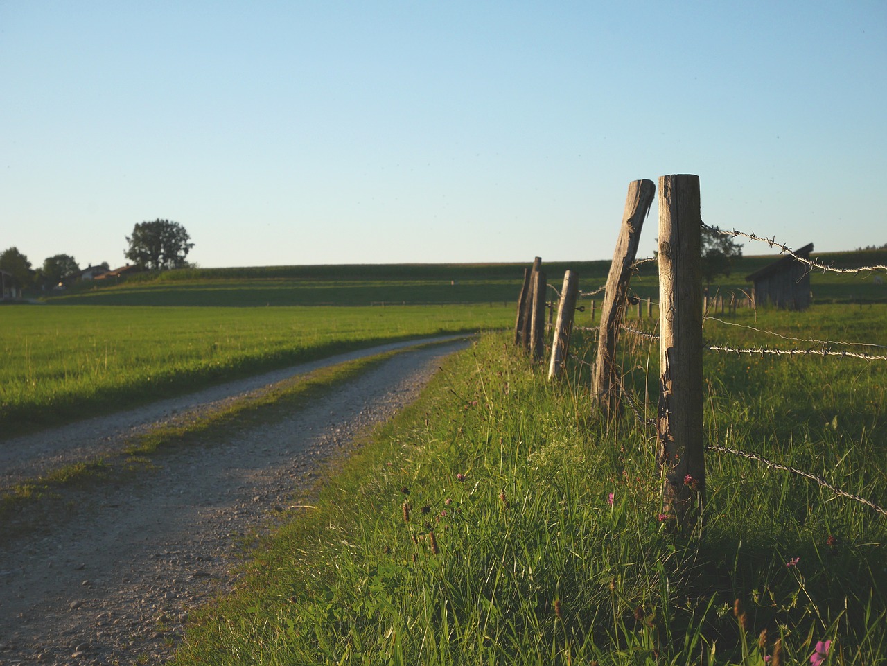 way path bavaria free photo