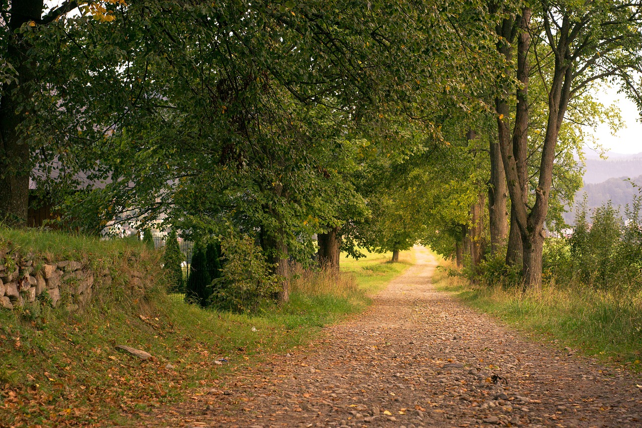 way alley dirt road free photo