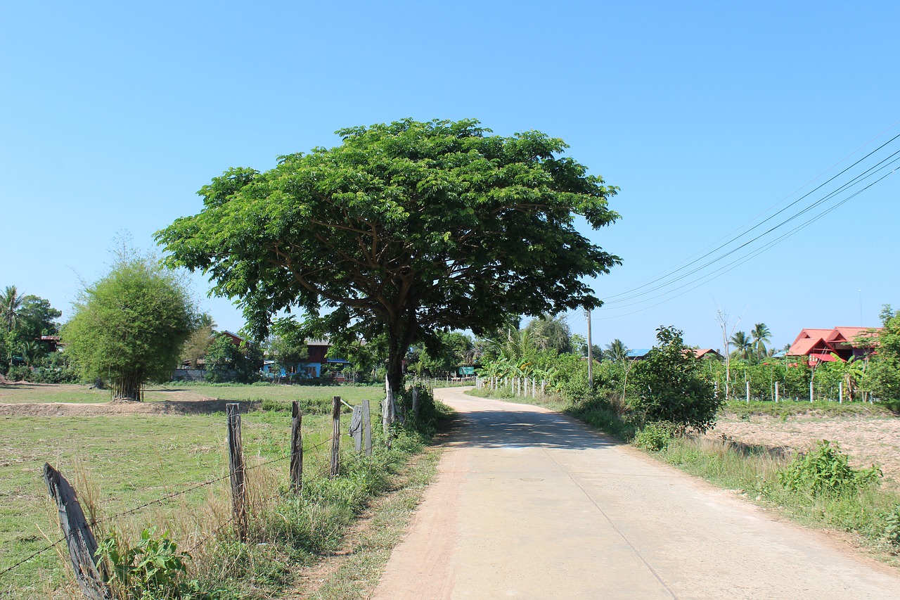 way street travel free photo