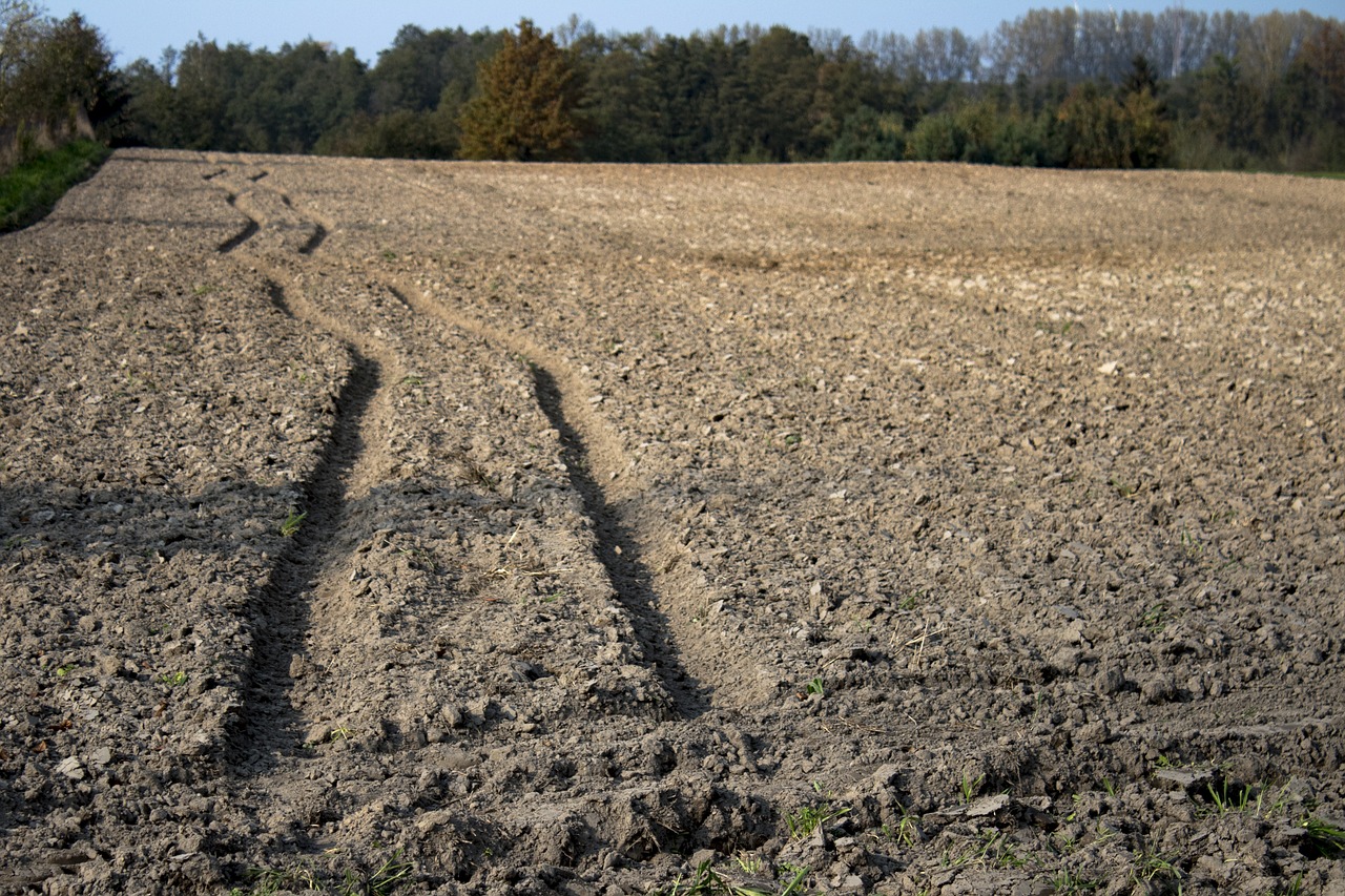 way field traces free photo