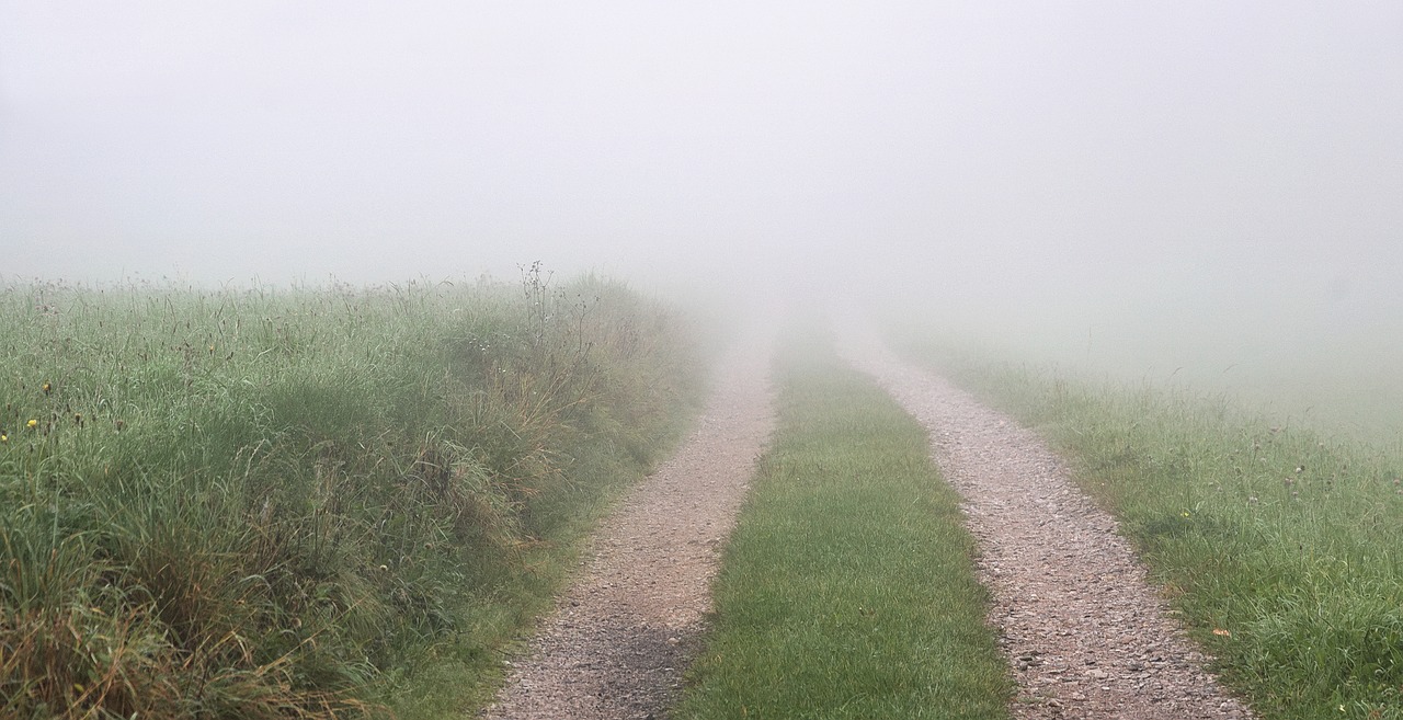 way fields the fog free photo