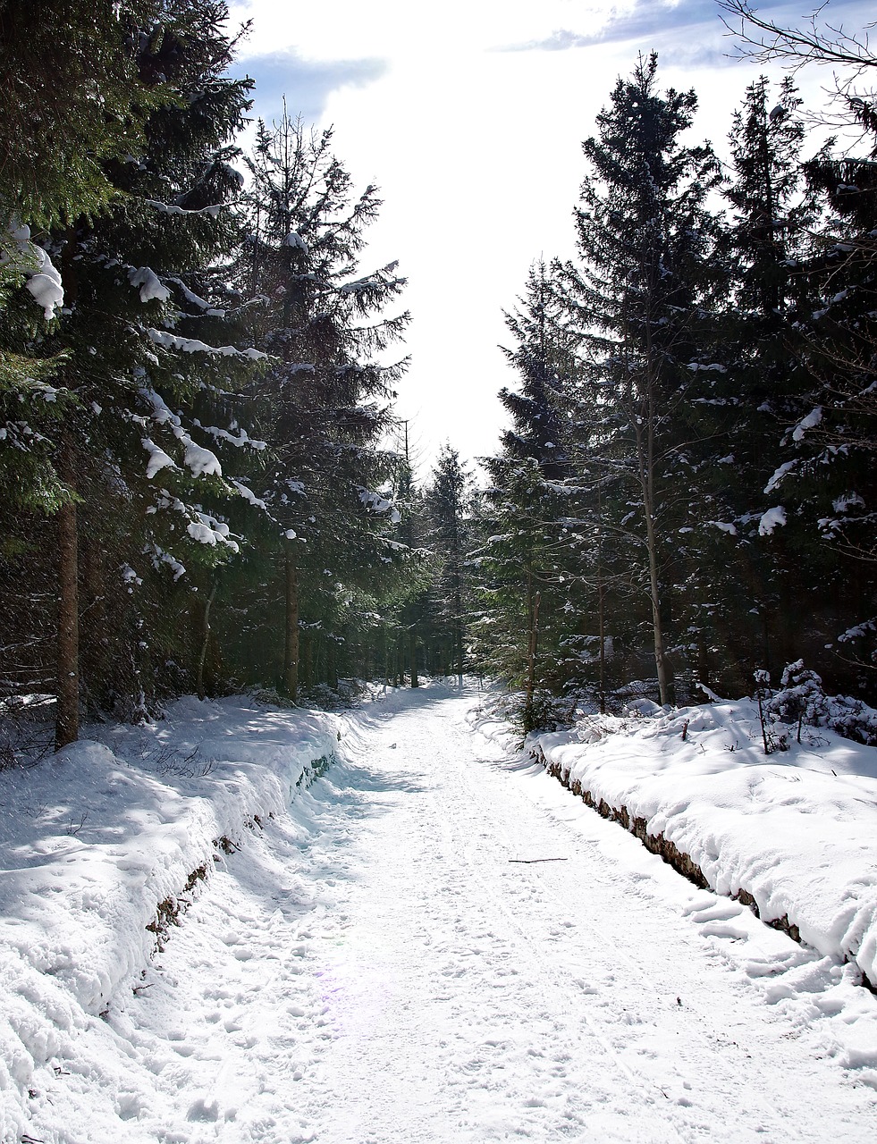 way the path snow free photo