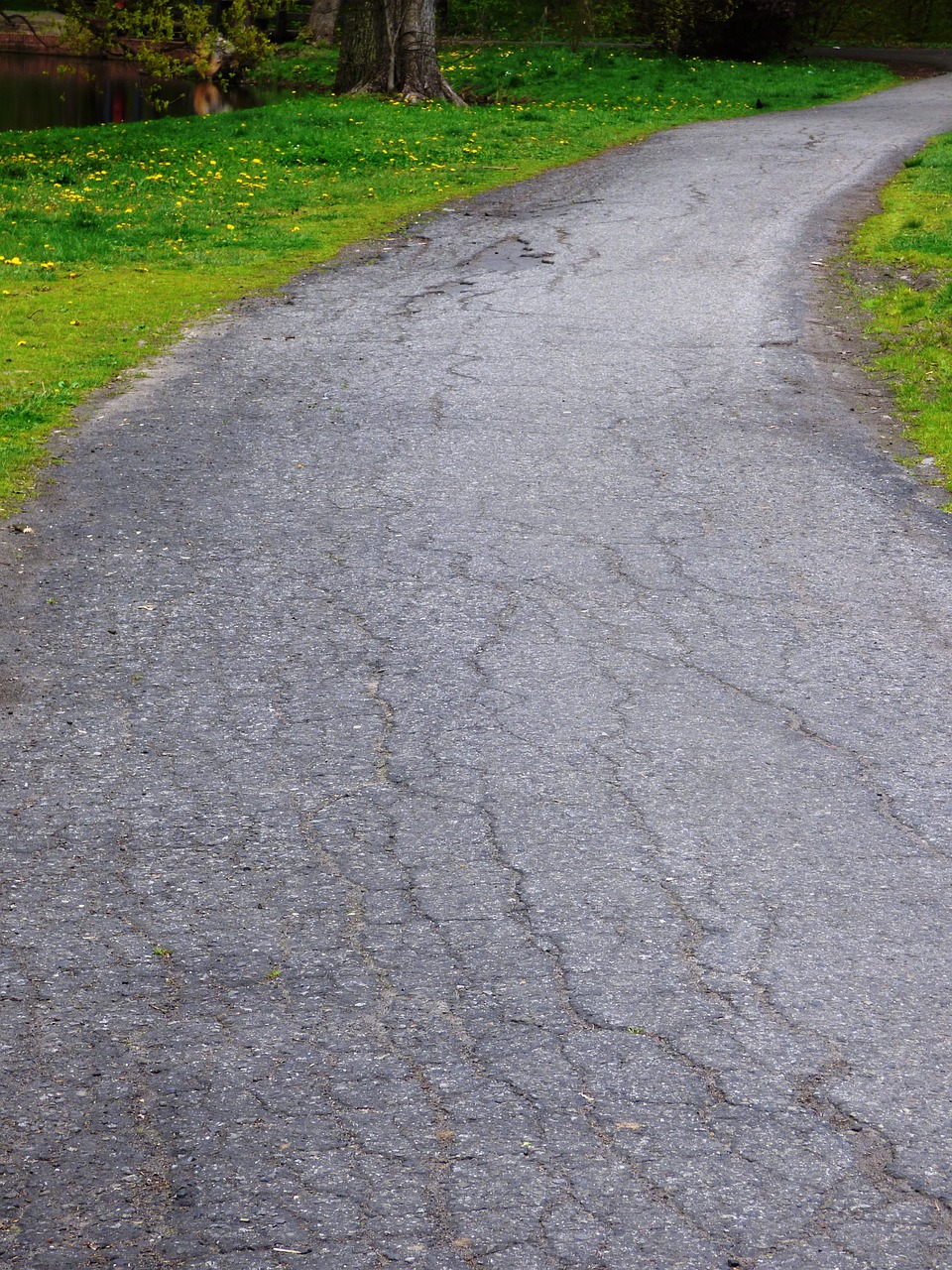 way road the path free photo