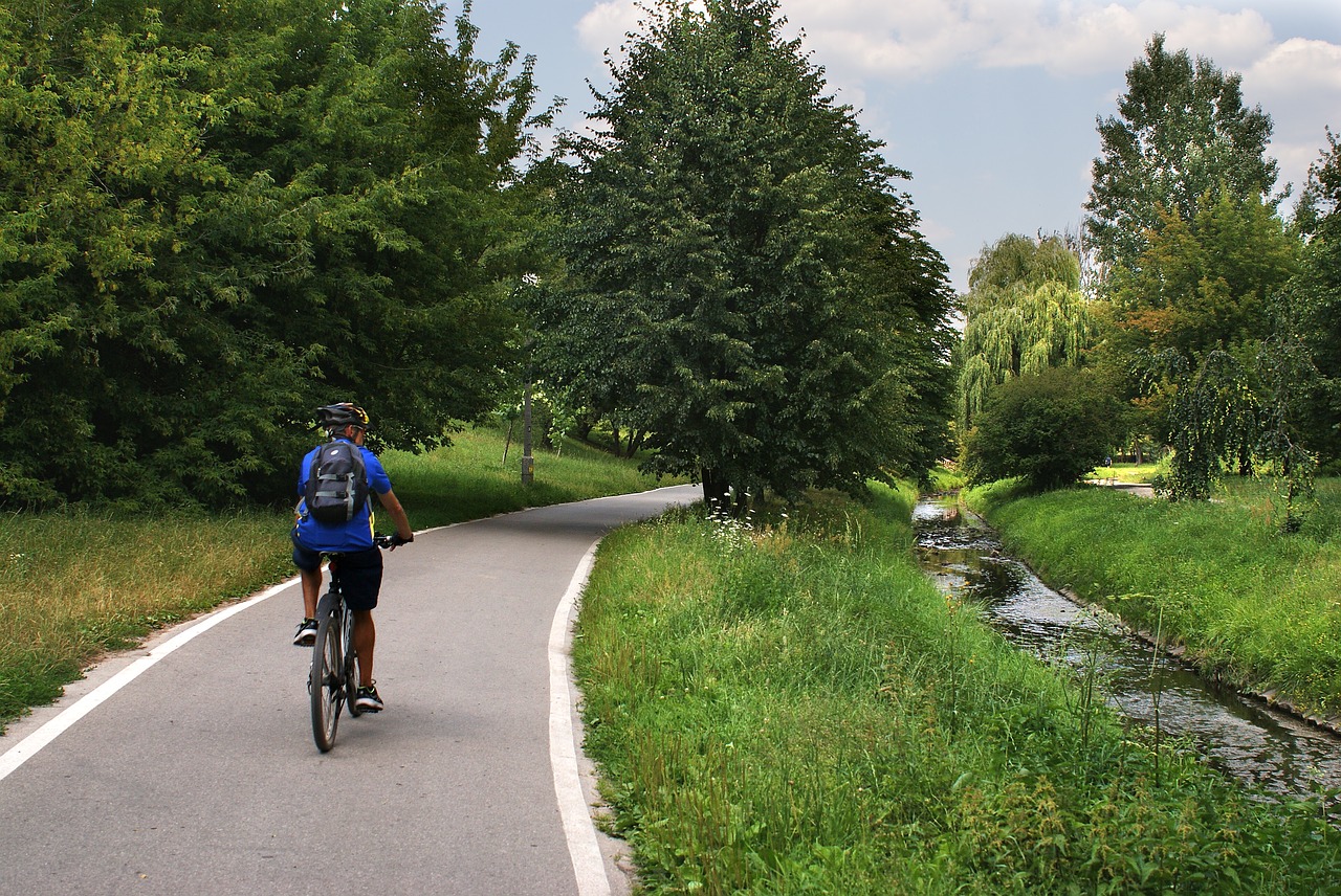 way  bicycles  landscape free photo