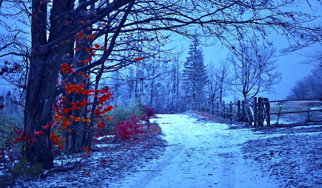 way  forest  beskids free photo