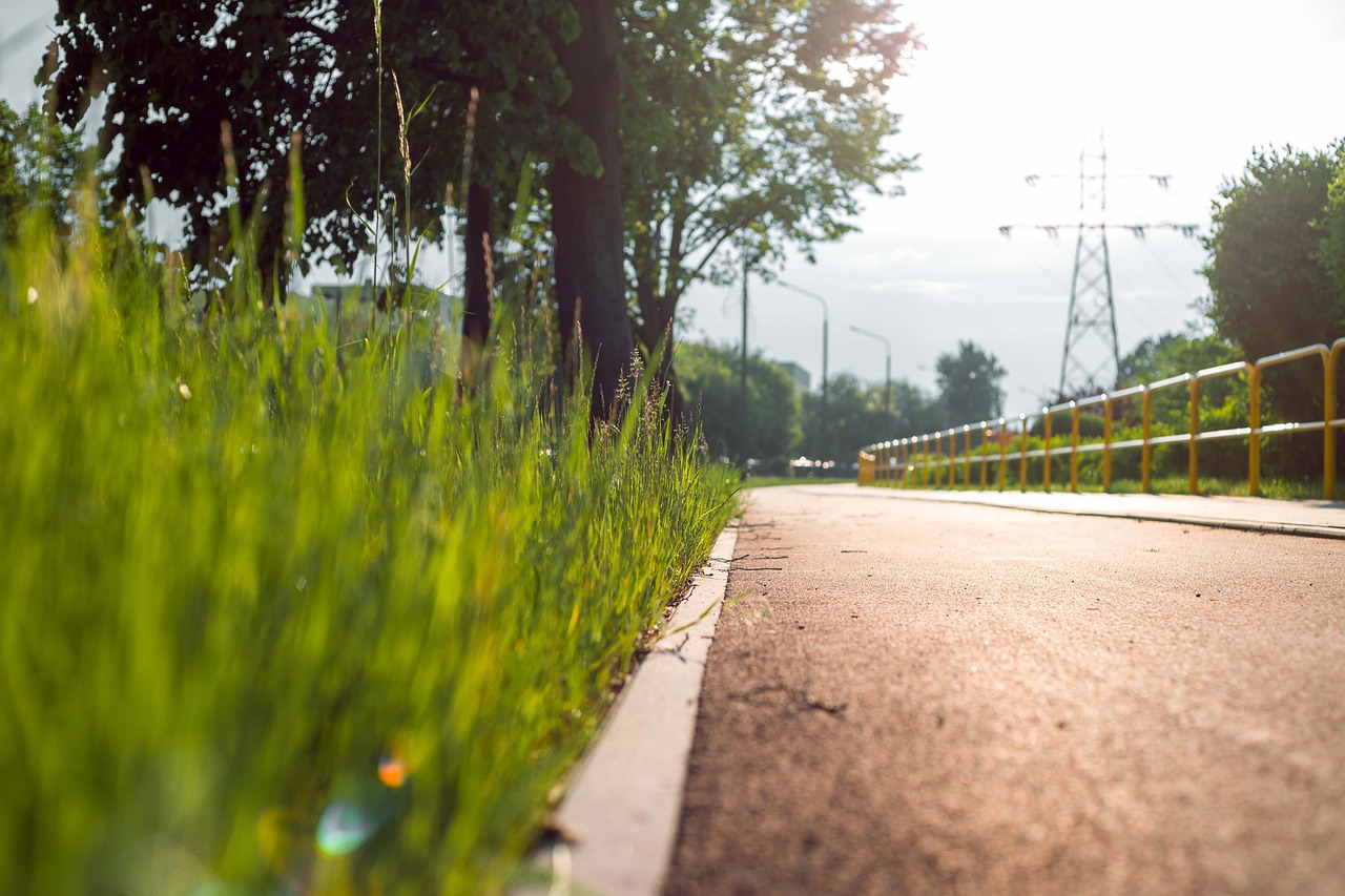 way  cycle path  asphalt free photo