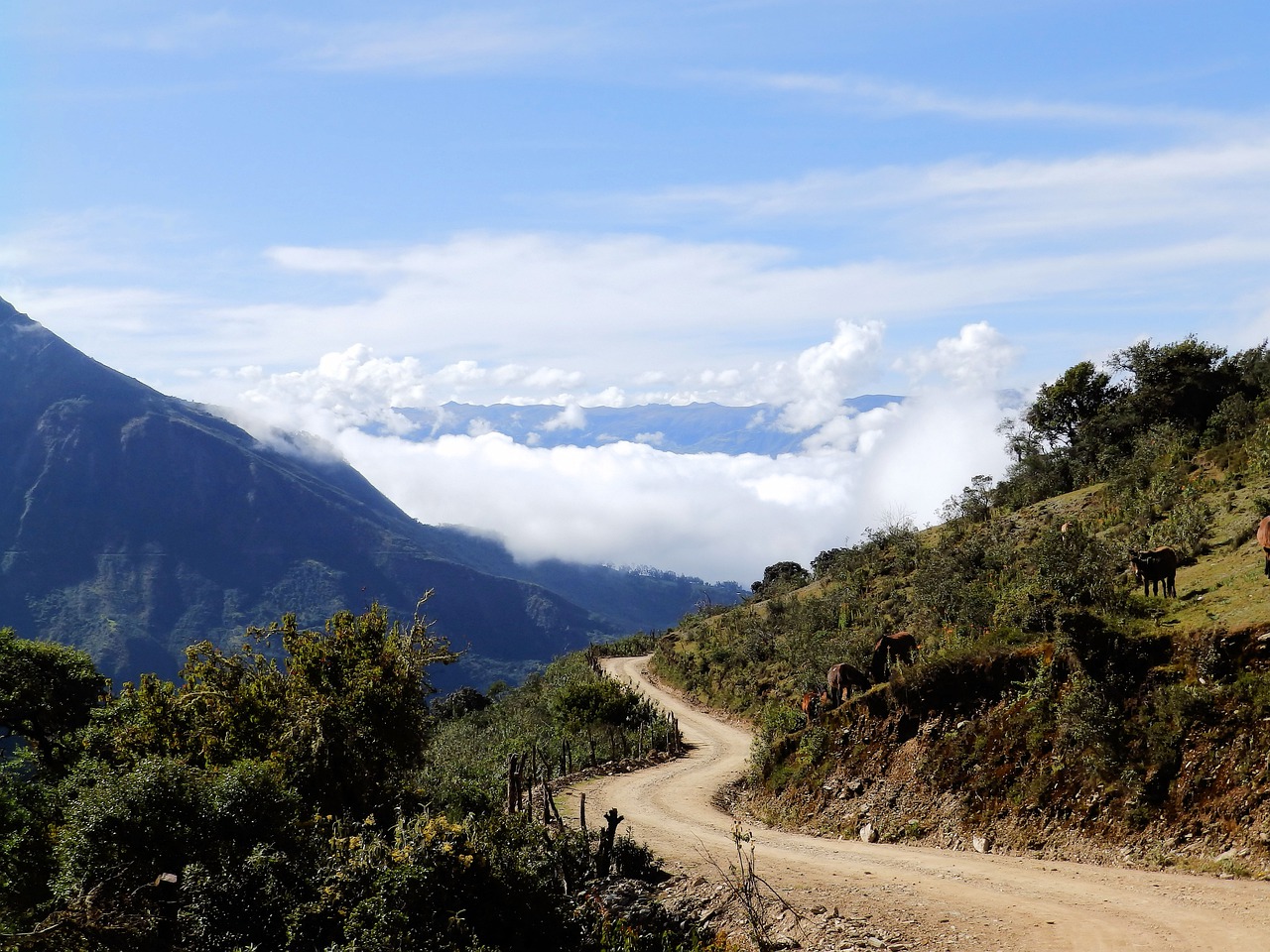 way  the path  mountain climbing free photo