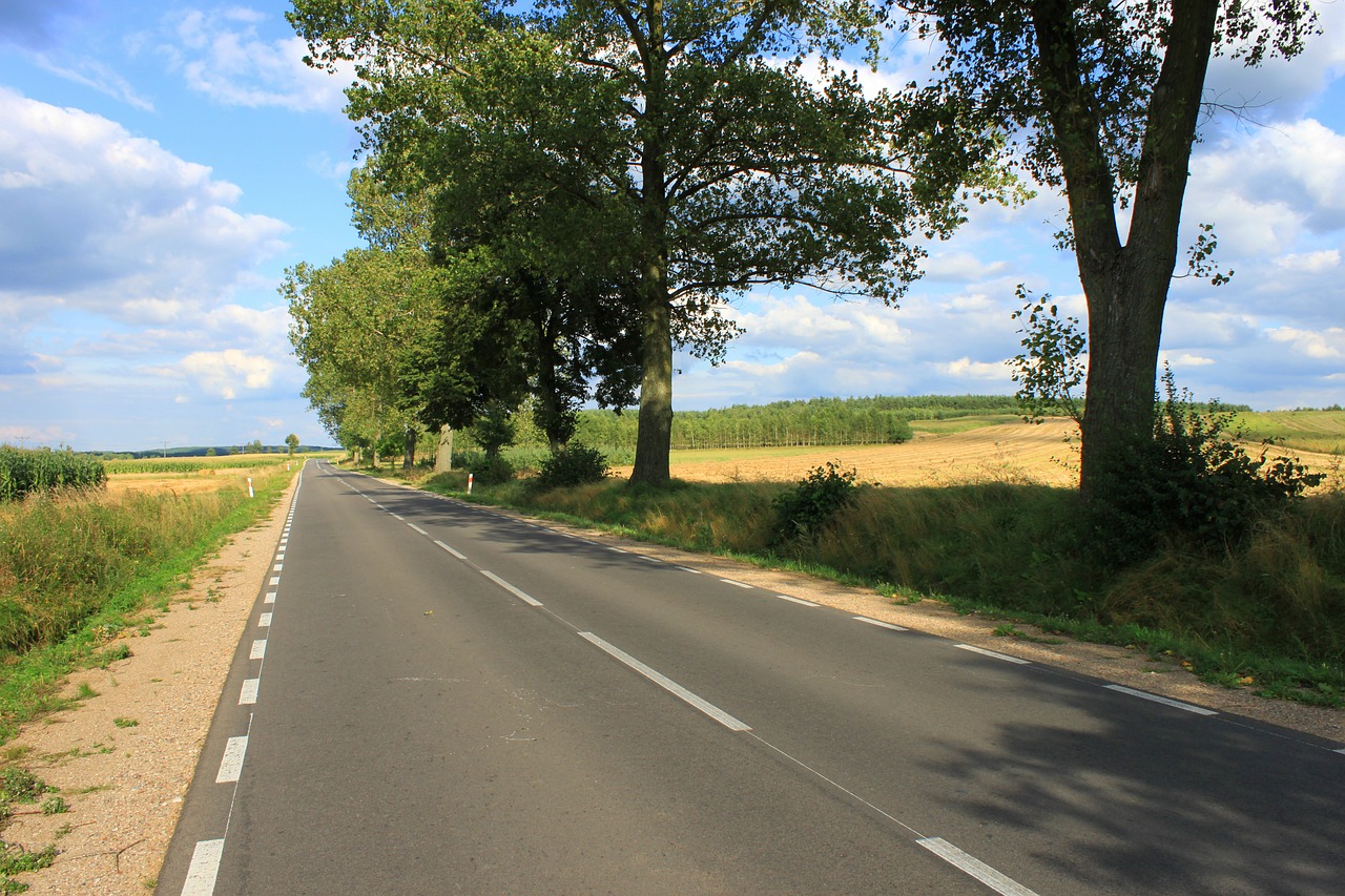 way tree landscapes free photo