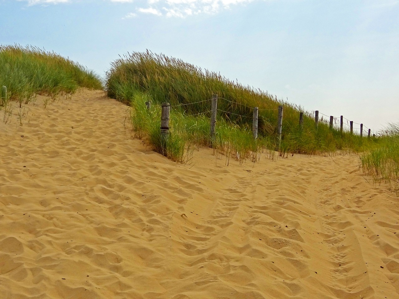 way enjoy more canters dunes free photo