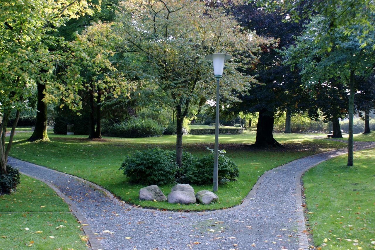 way park trees free photo