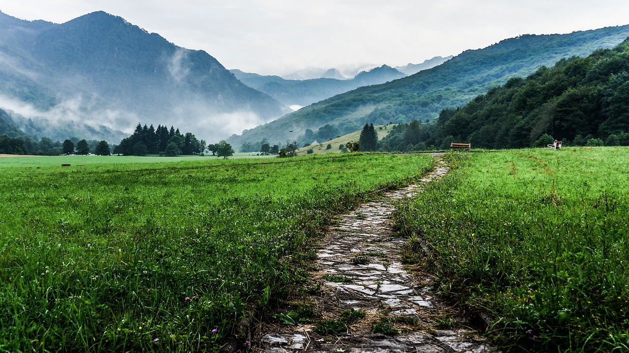 way path outdoor free photo