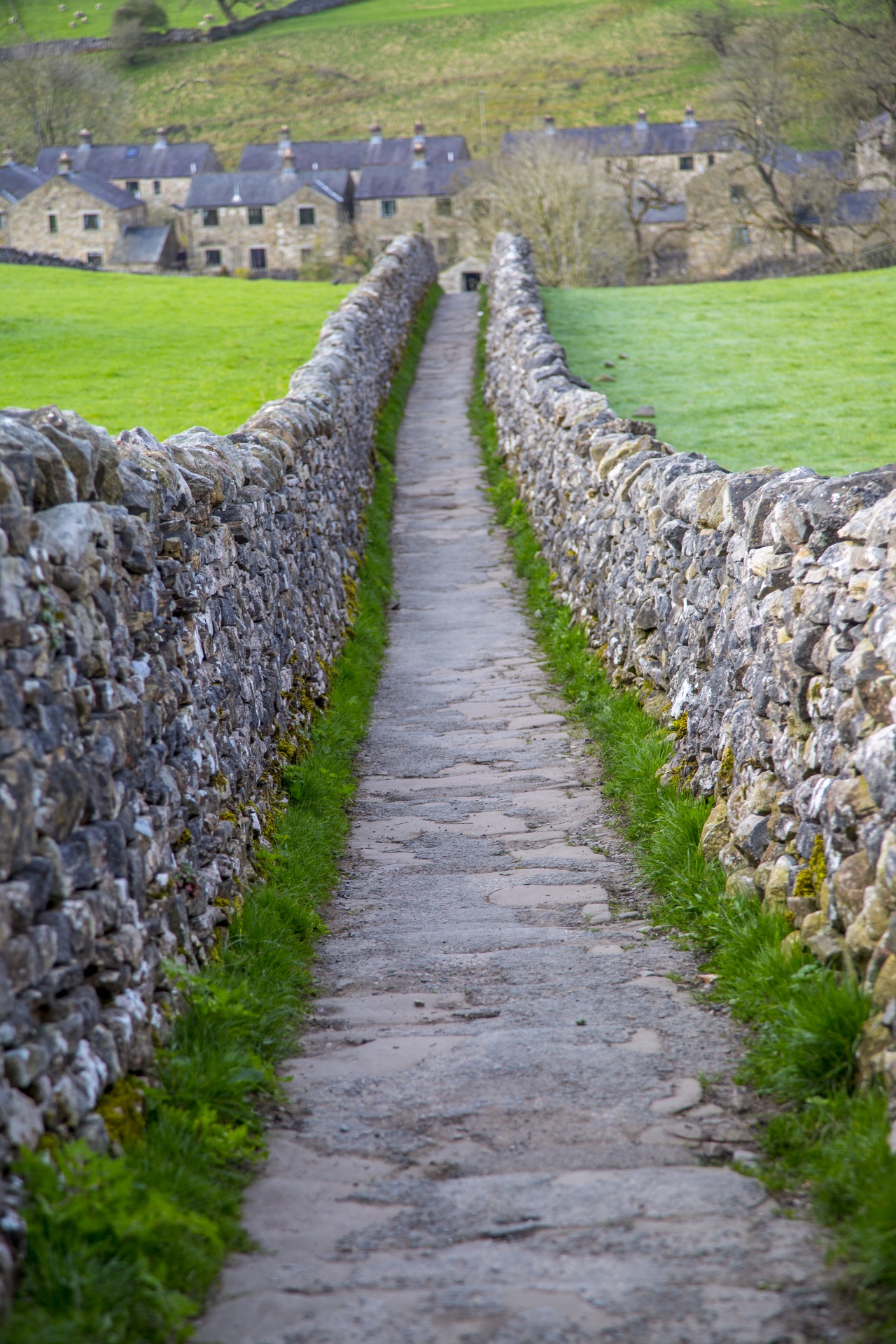 way path outside free photo