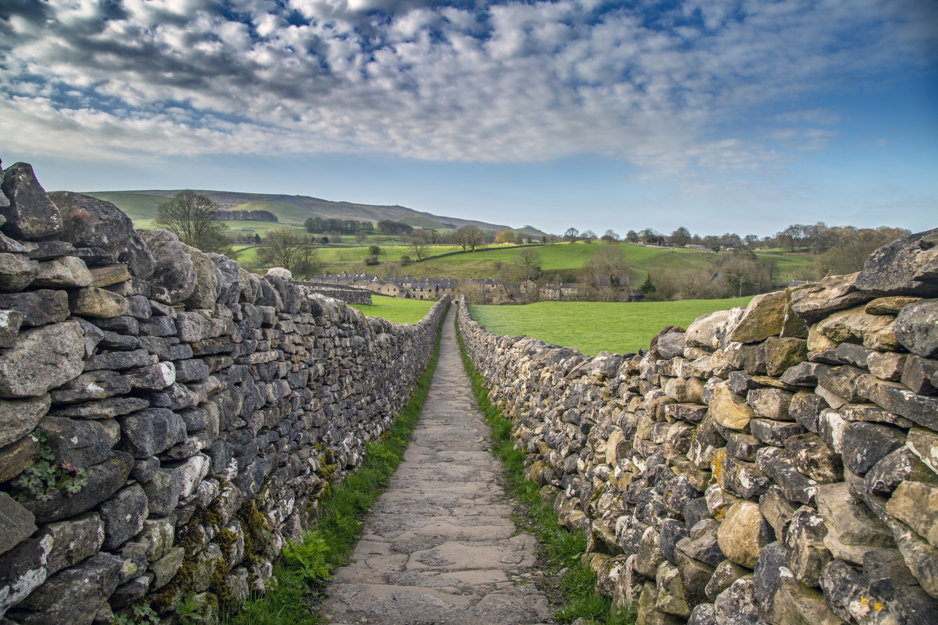 way path outside free photo