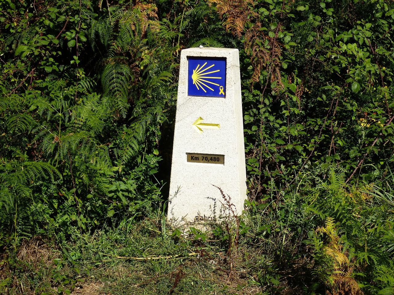 way of st james galicia camino santiago free photo