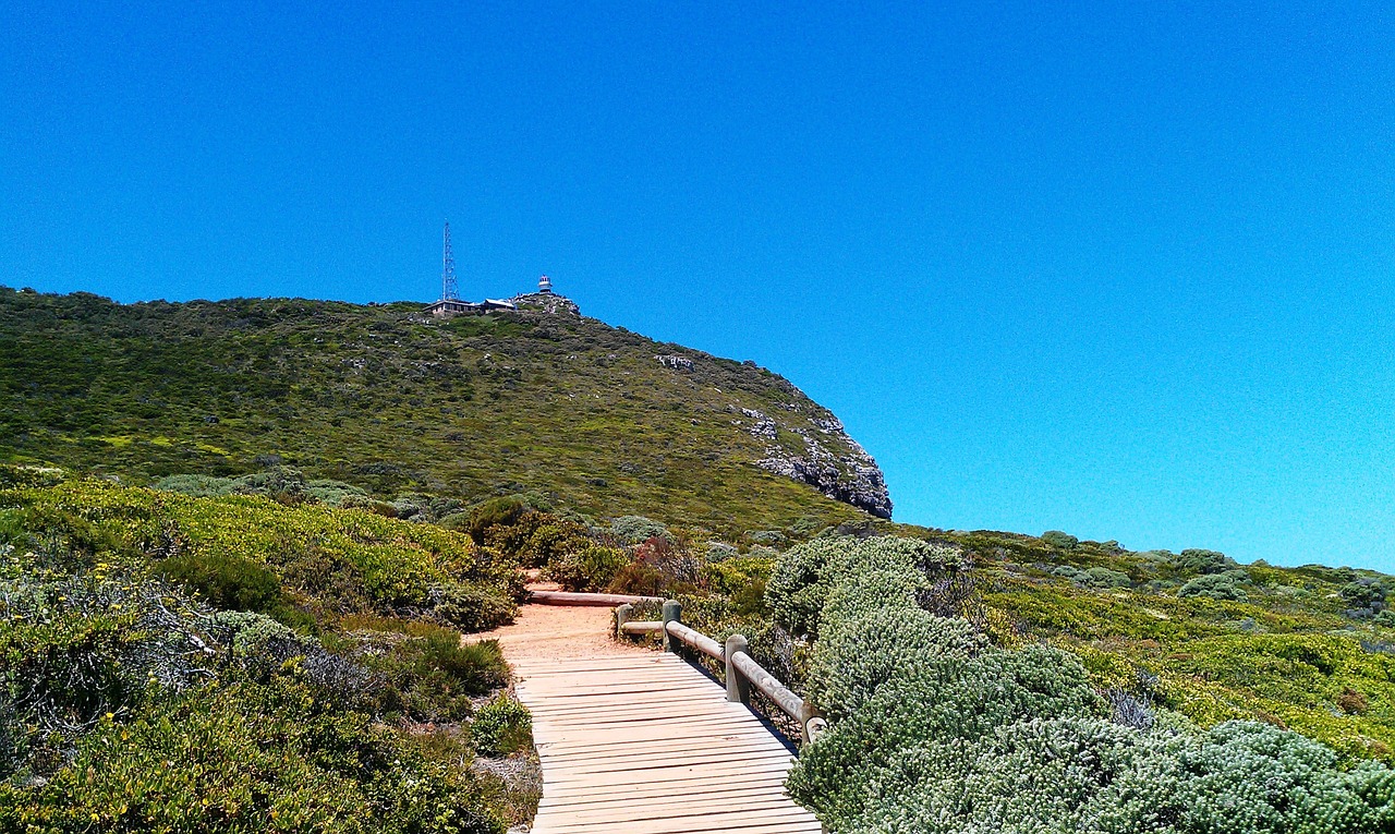 way to the diaz beach cape point green free photo