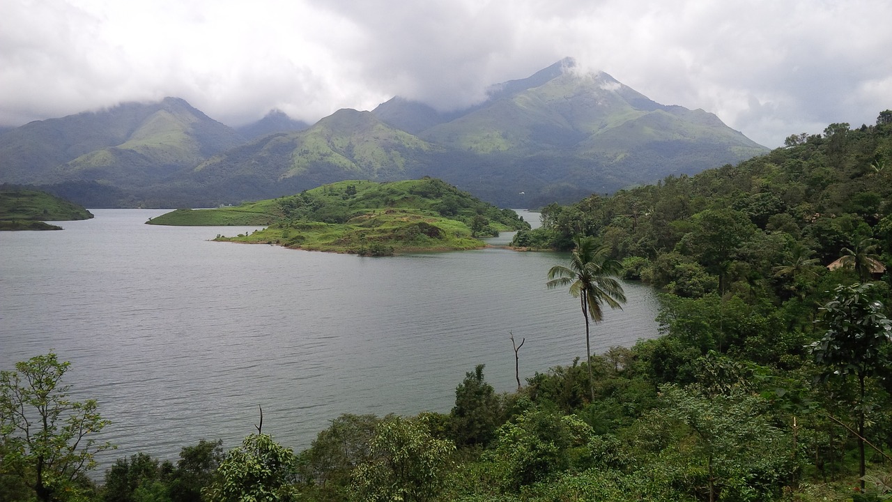 wayanad  green  kerala free photo