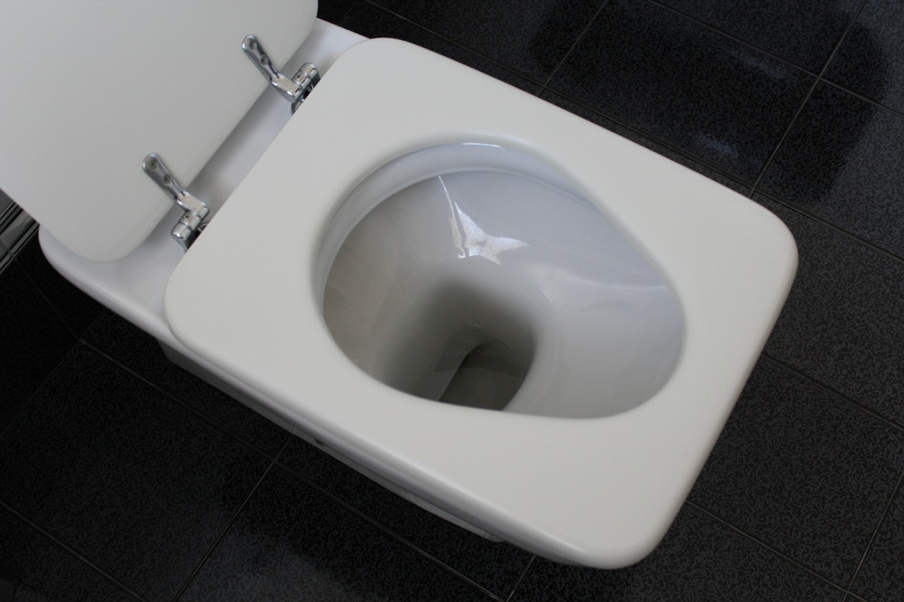 wc bathroom toilet free photo