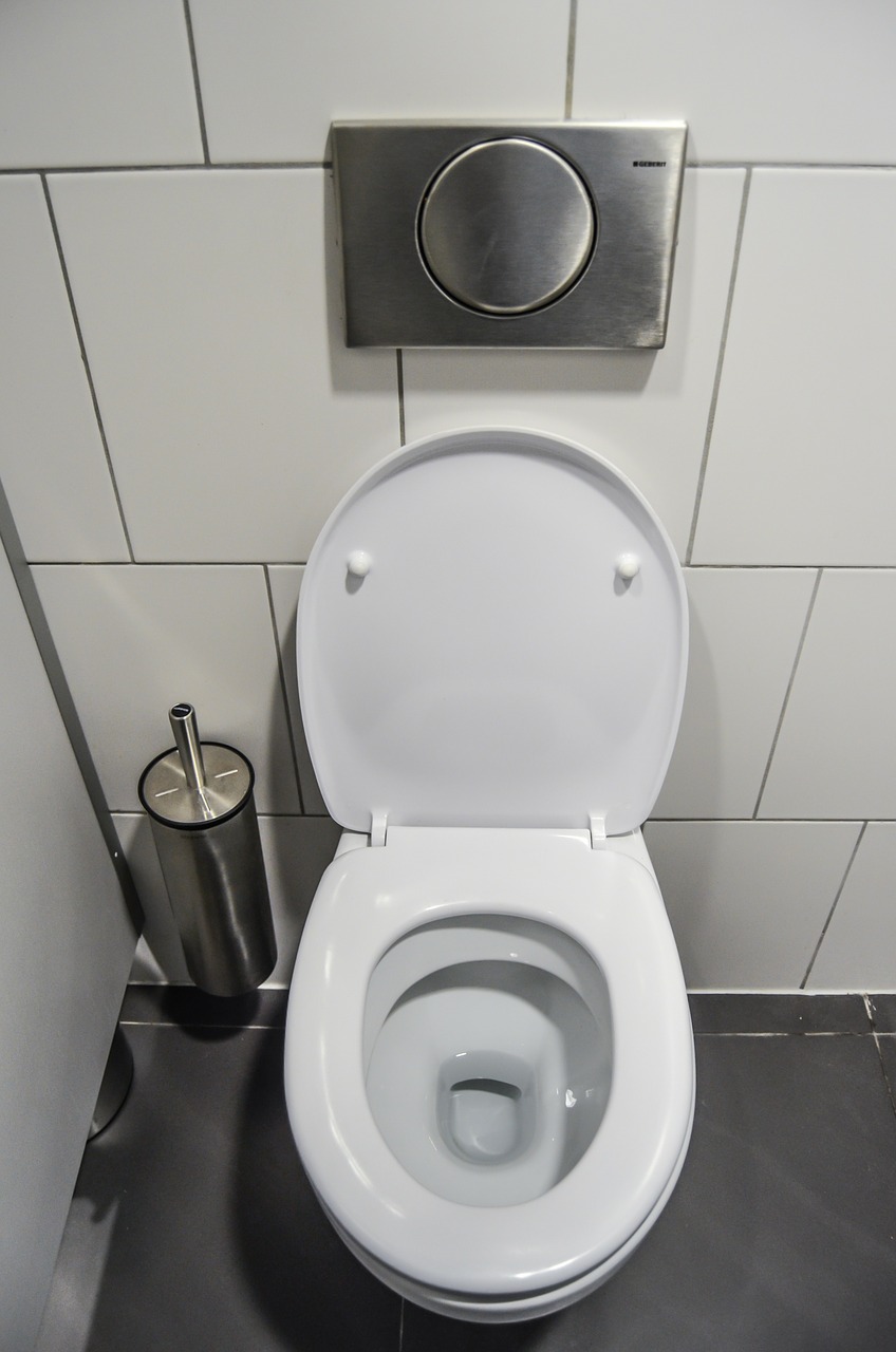 wc toilet purely free photo