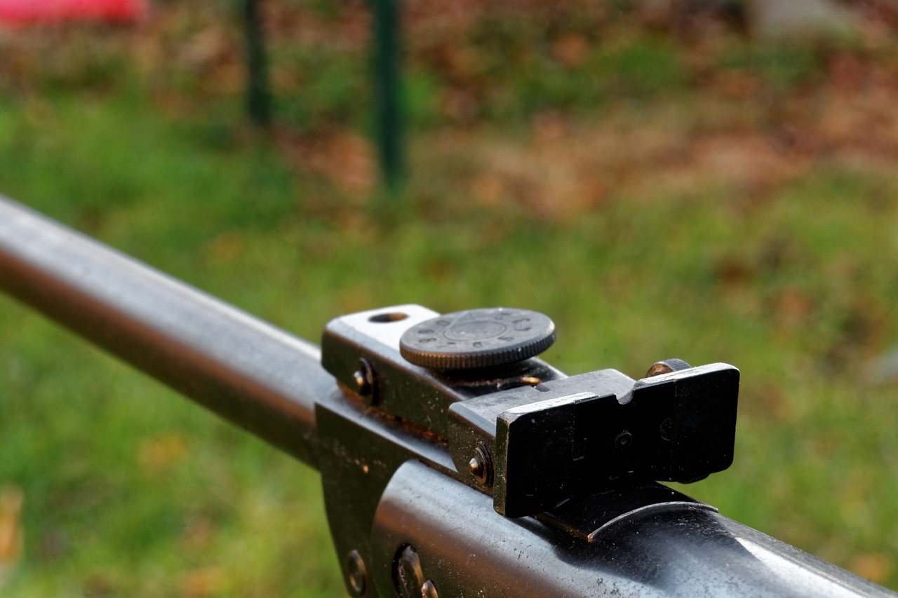 weapon rifle shoot free photo
