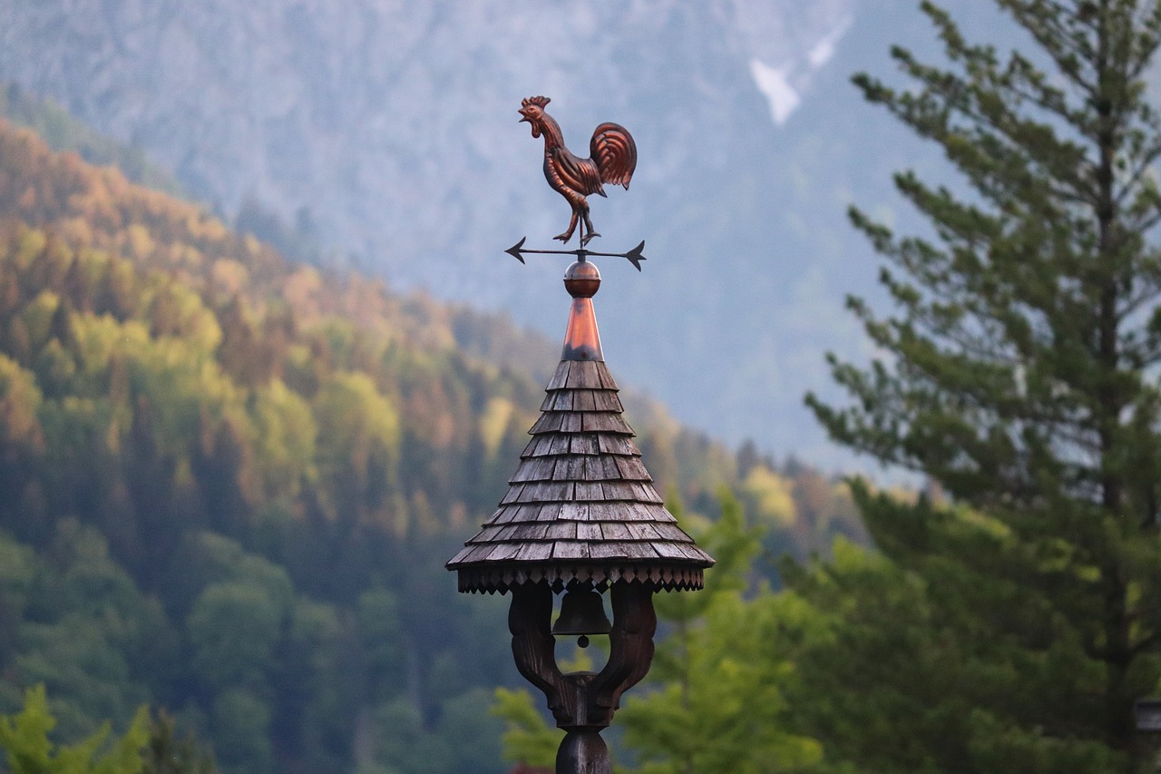 weather vane  turret  wooden roof free photo