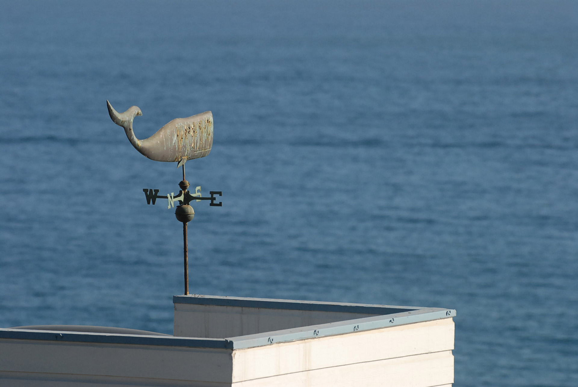 whale weathercock roof free photo