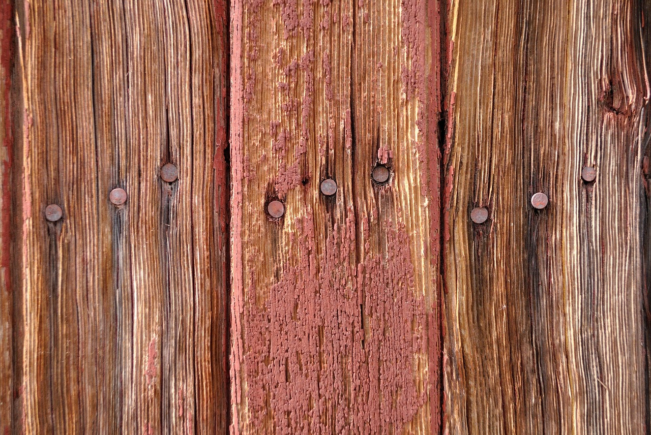 weathered wood rusty nails free photo