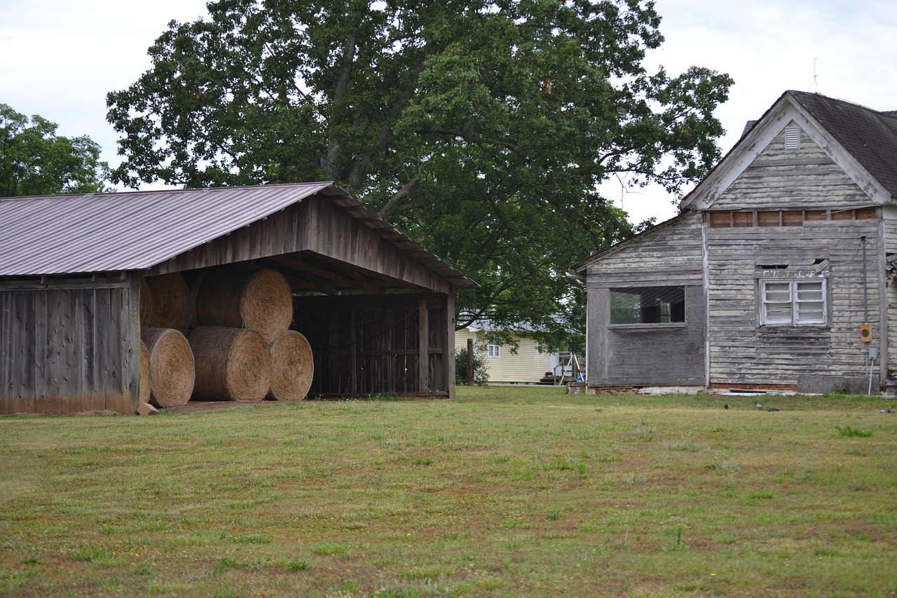 weathered farm rural free photo