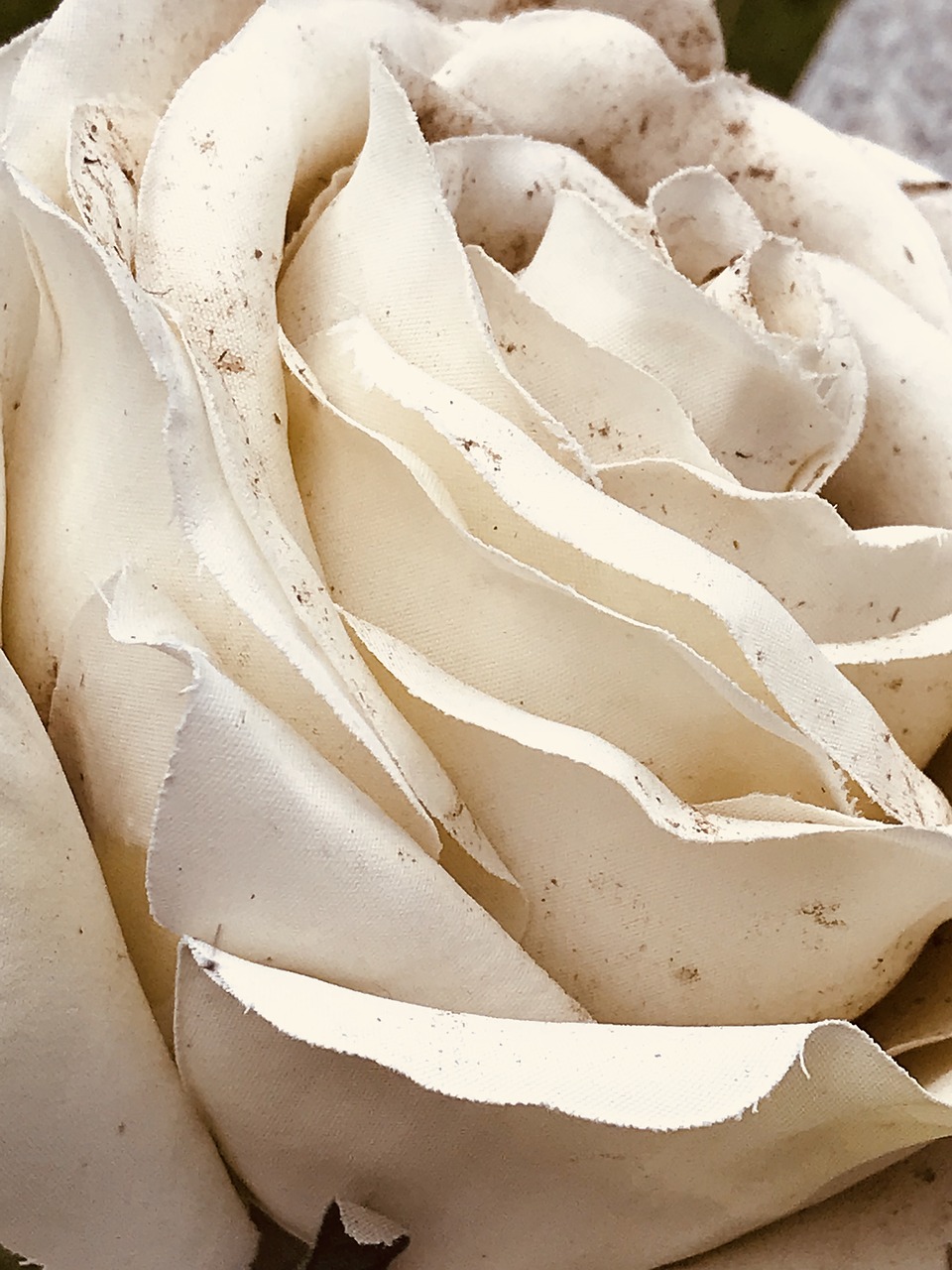 weathered  cemetery  beige free photo