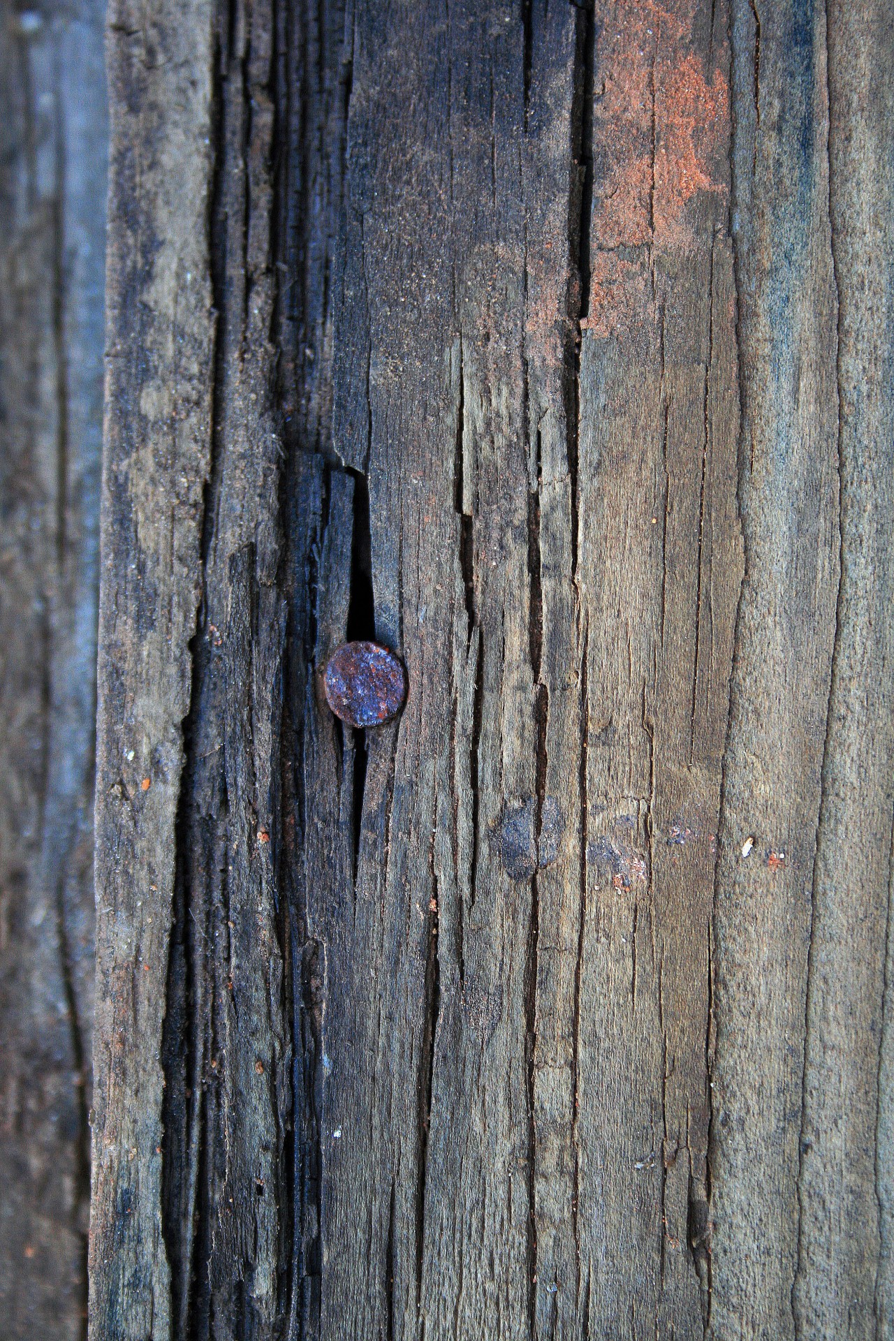 wood plank old free photo