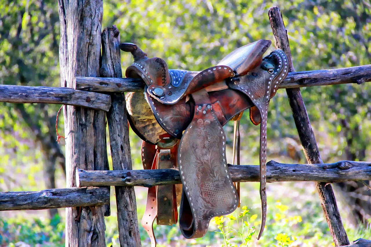 weathered saddle dude ranch texas free photo