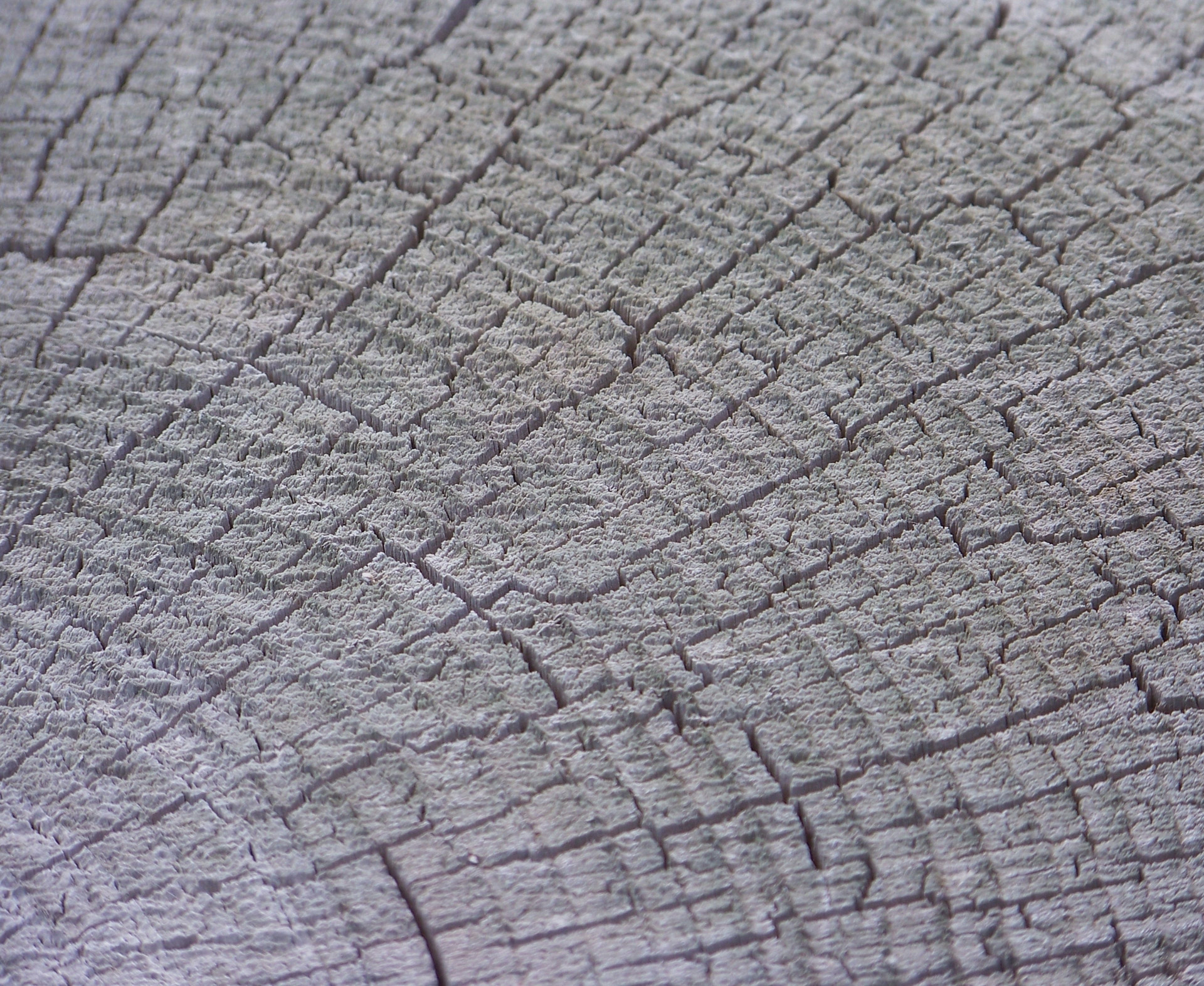 wood wood grain saw cut free photo