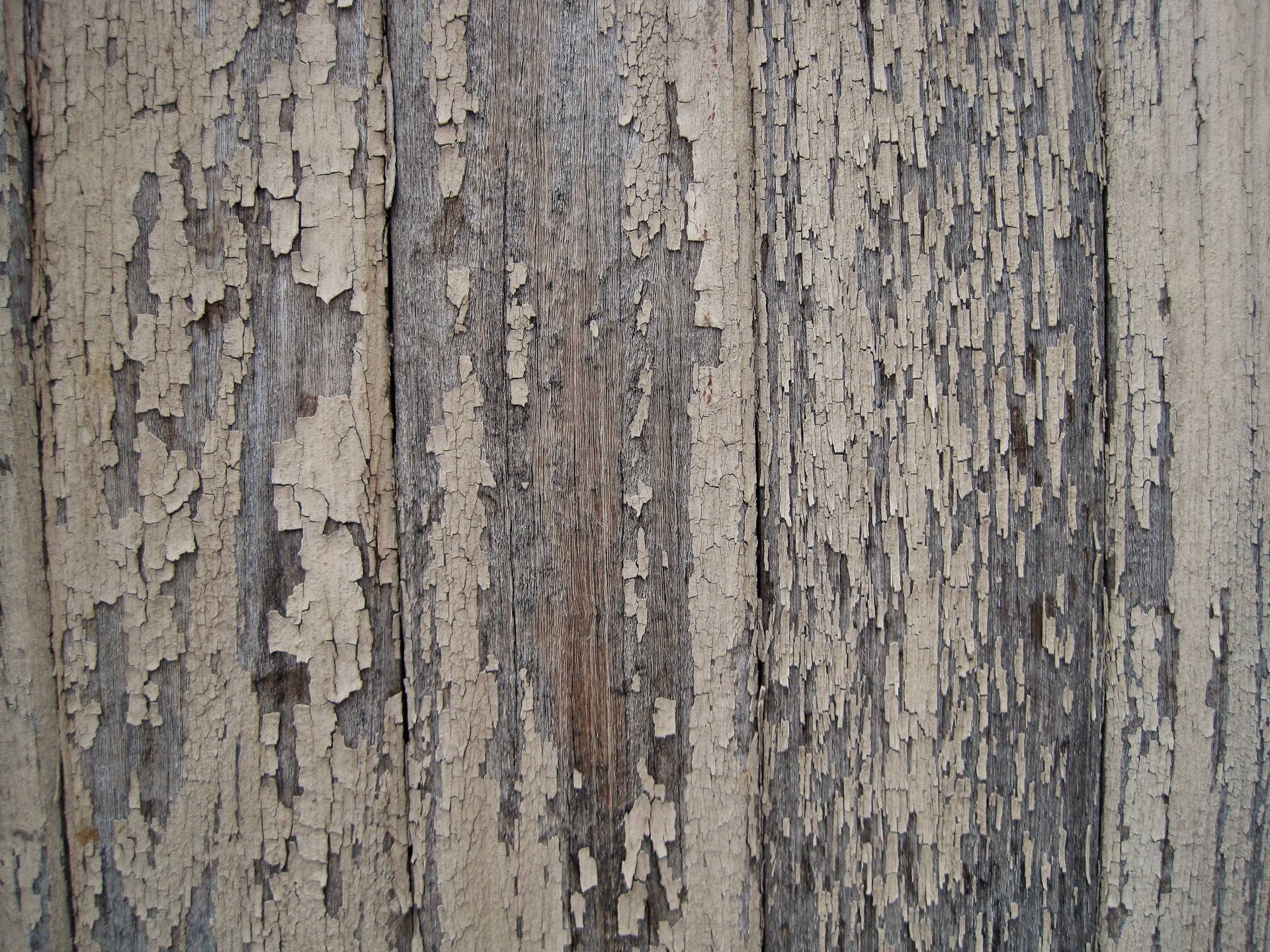wood old weathered free photo