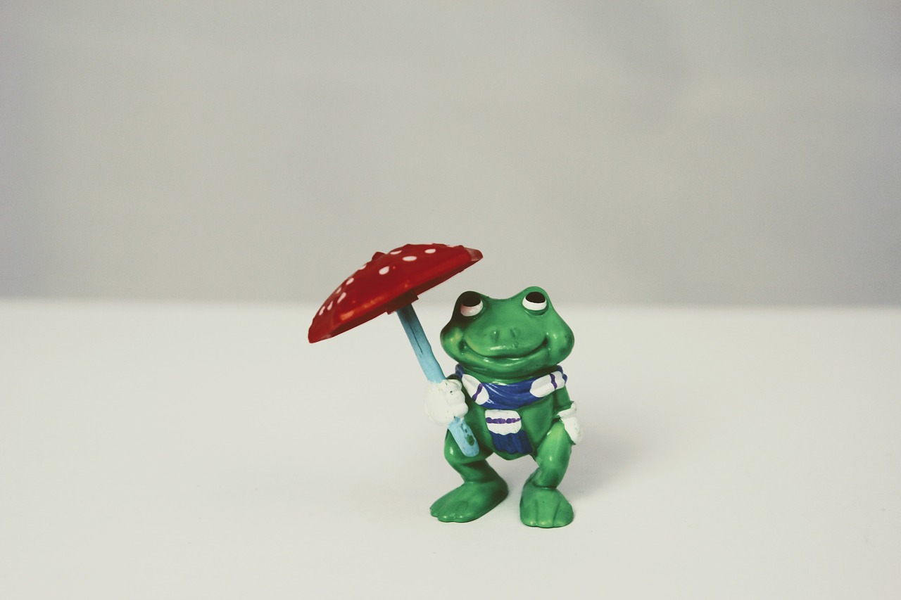 weatherman green frog free photo