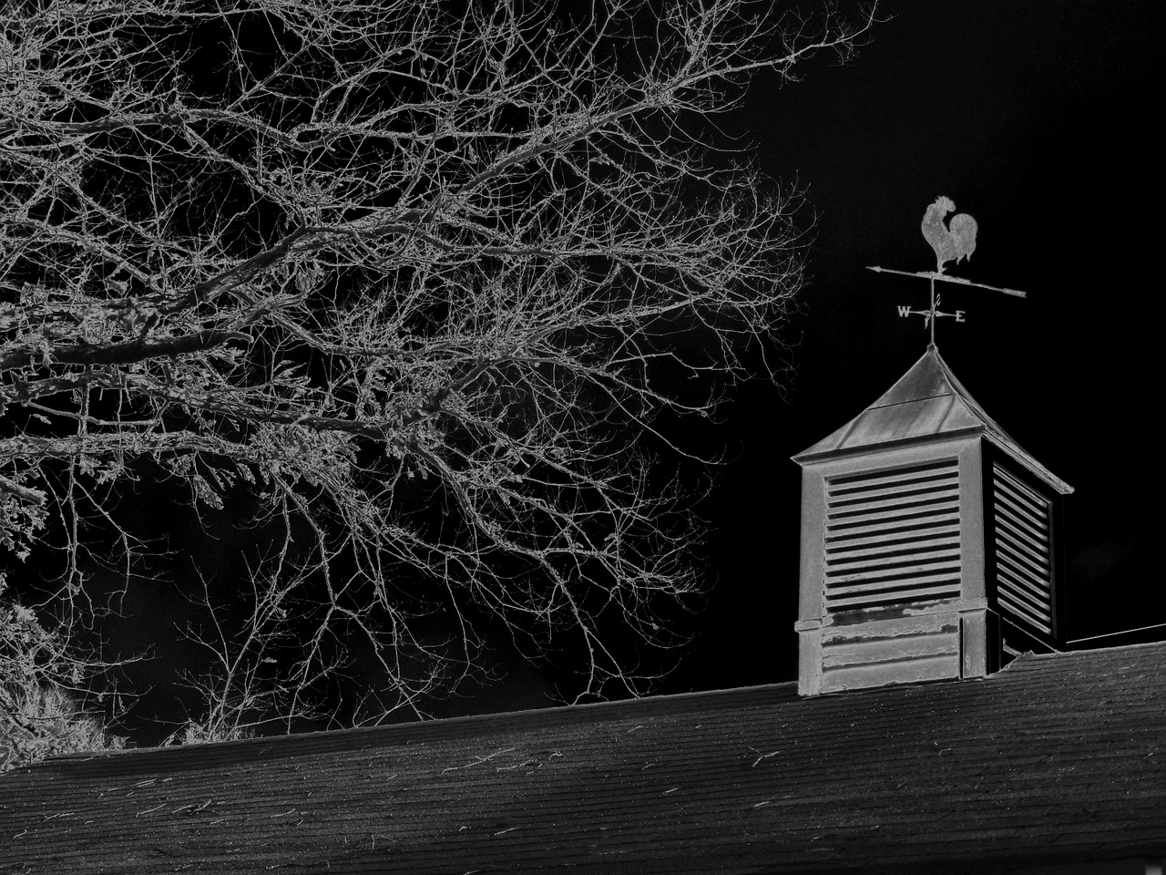 weathervane copula barn free photo