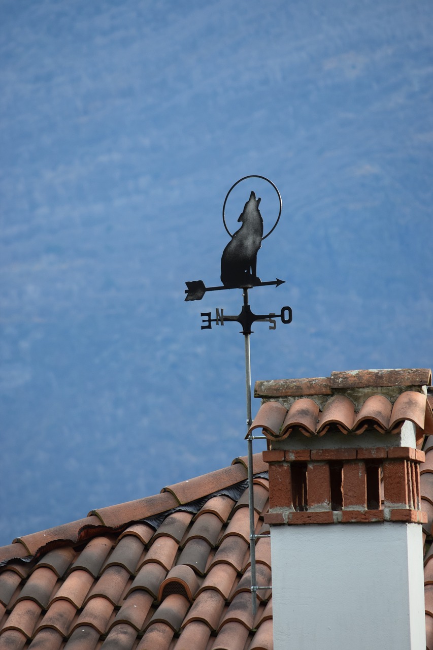 weathervane wind marks wolf free photo