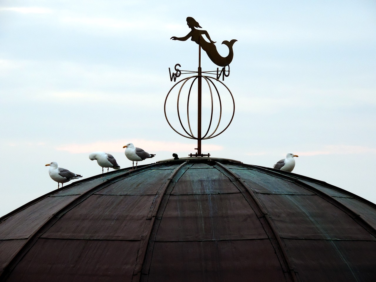 weathervane roof gulls free photo