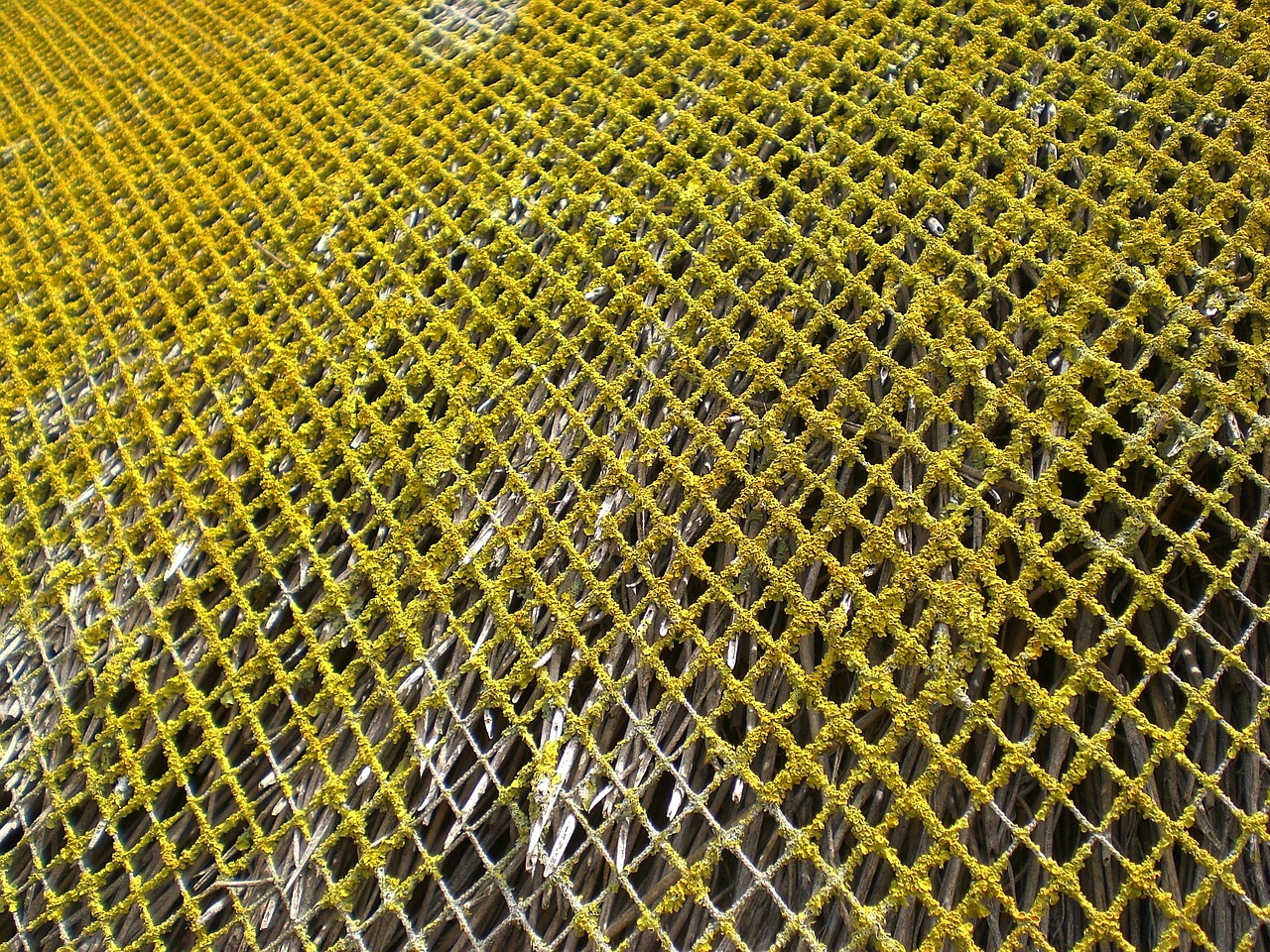 weave grid network free photo