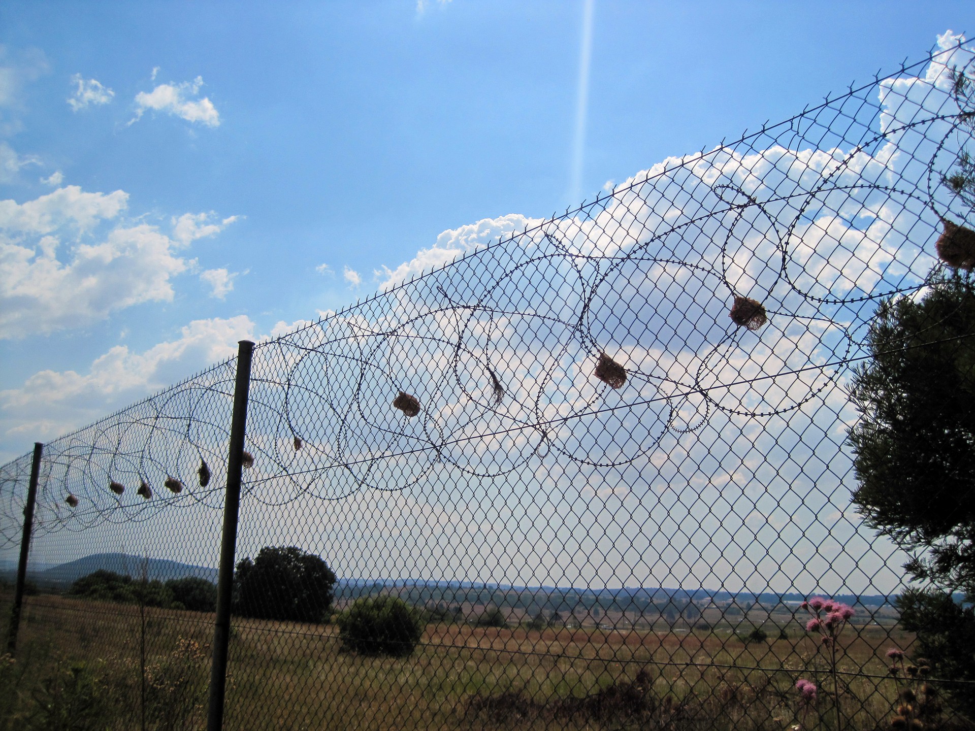 fence barbed security free photo