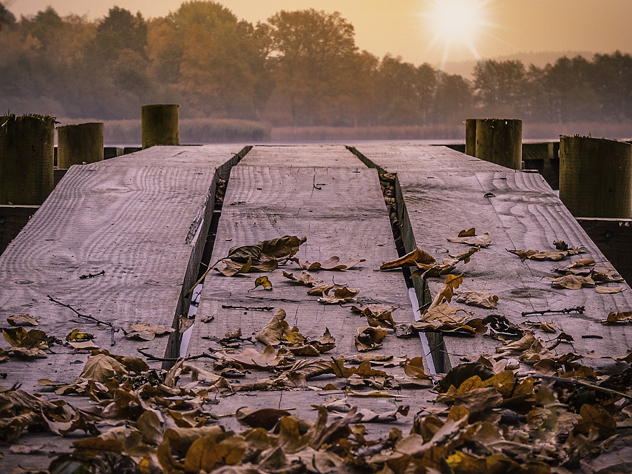 web lake sunrise free photo