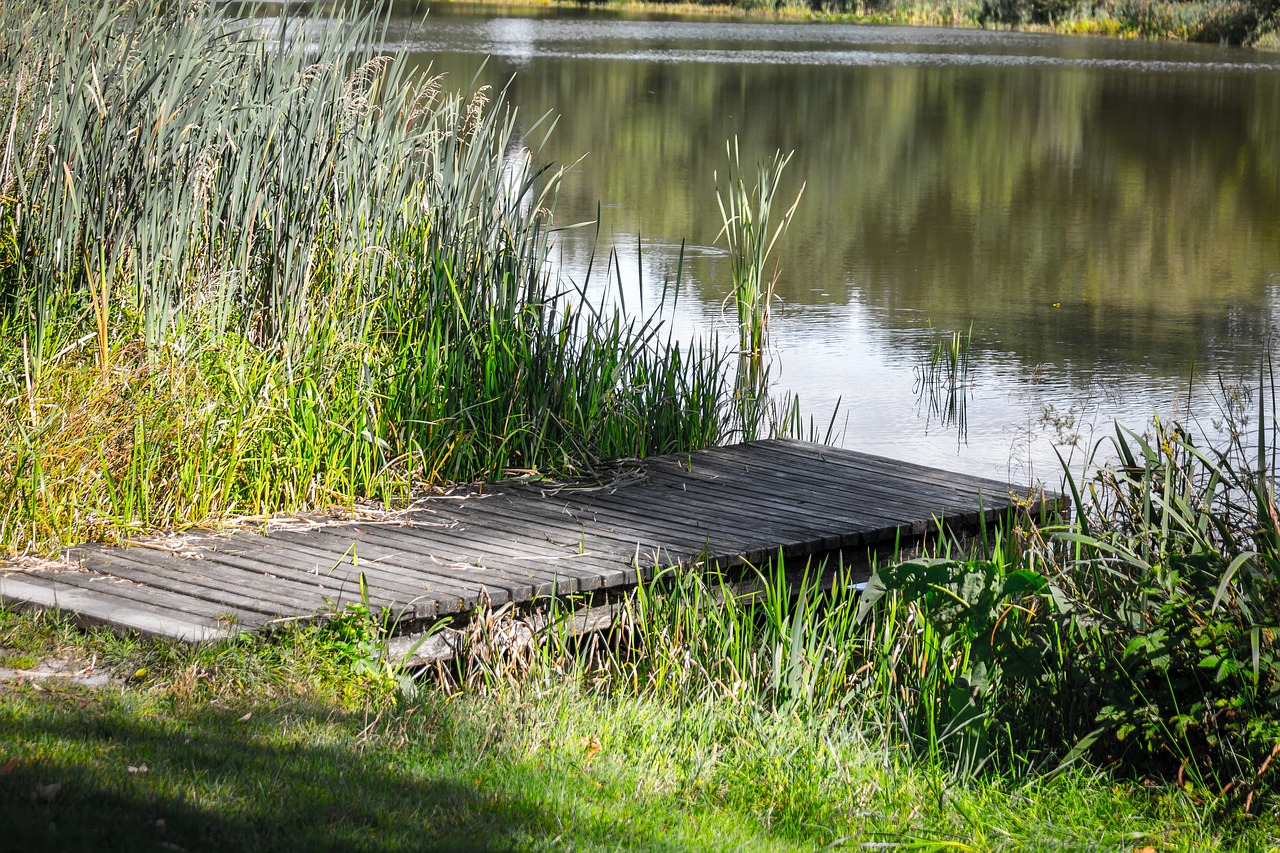 web lake water free photo