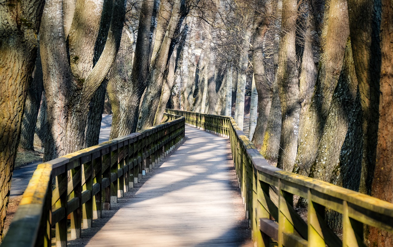 web bridge wooden bridge free photo