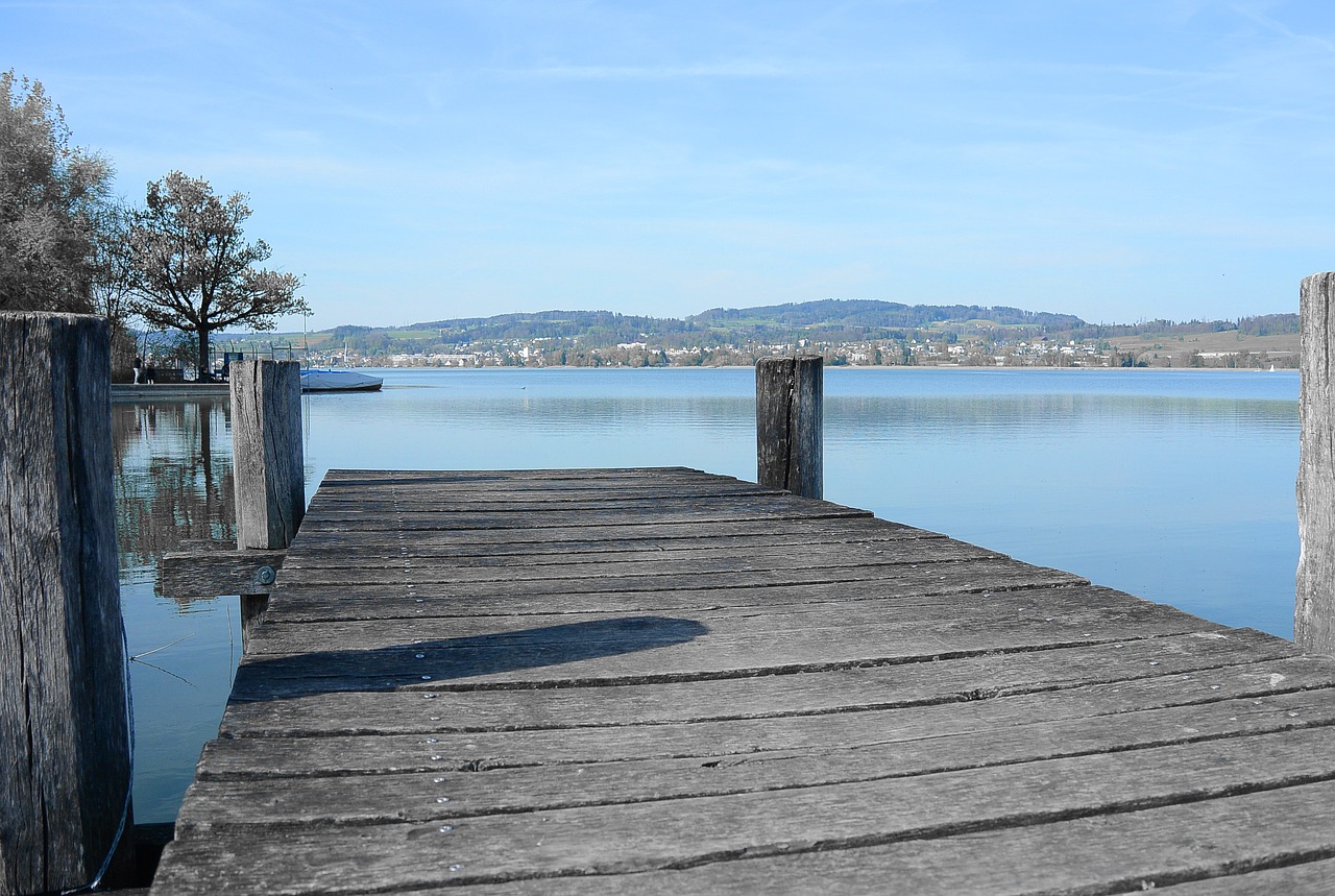 web wood bridge free photo