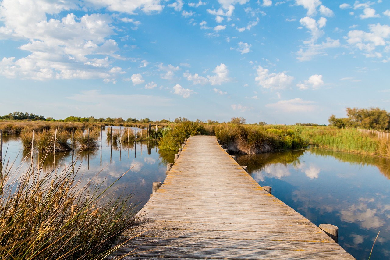 web nature camargue free photo