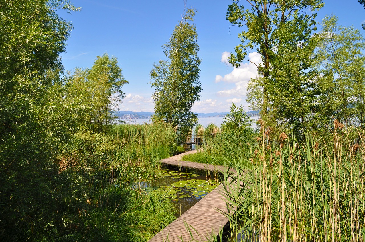 web boardwalk switzerland free photo