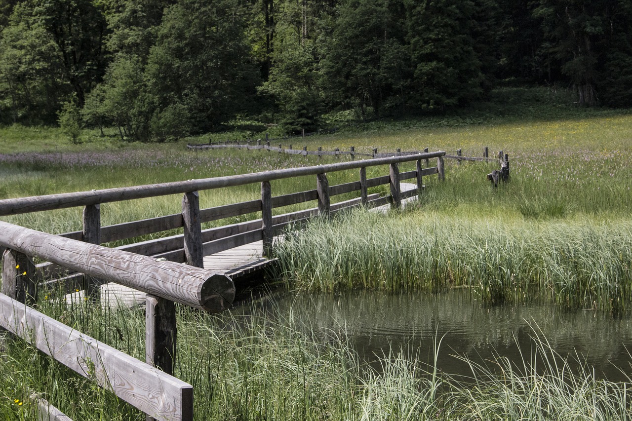 web bridge water free photo